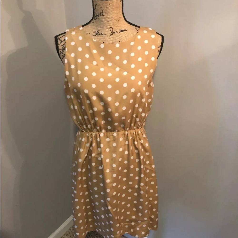 Jcrew Polka Dot Dress